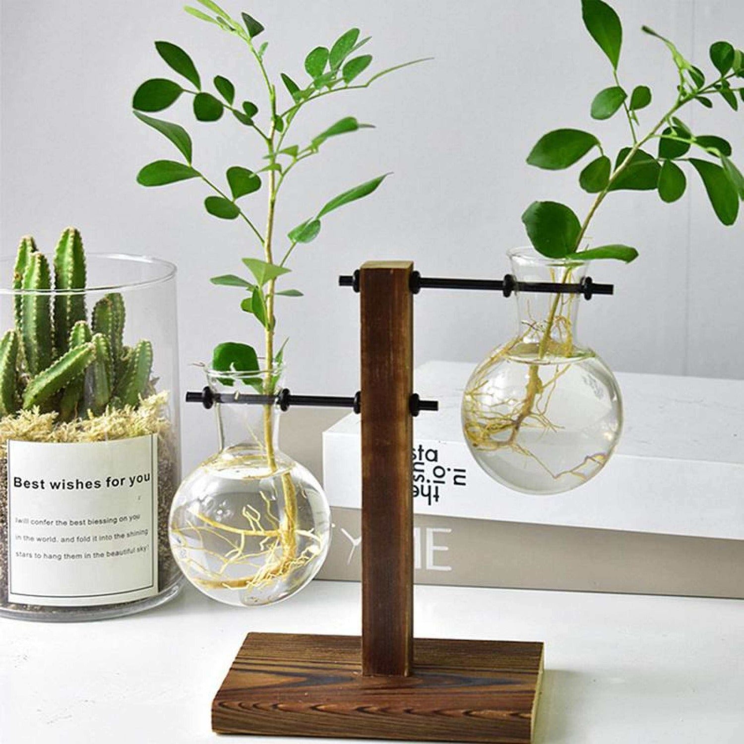 Glass Vase Planter Terrarium Table Desktop Hydroponic Plant Vases