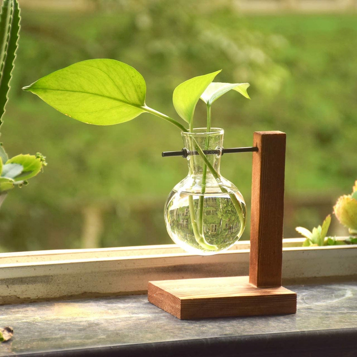hydroponic plant vase Terrarium Hydroponic Plant Vases – Raku Decor