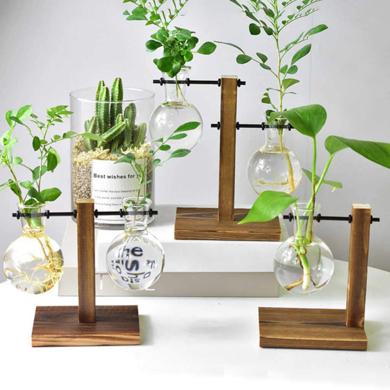 best plants for hydroponic vase Terrarium Hydroponic Plant Vases – Raku Decor