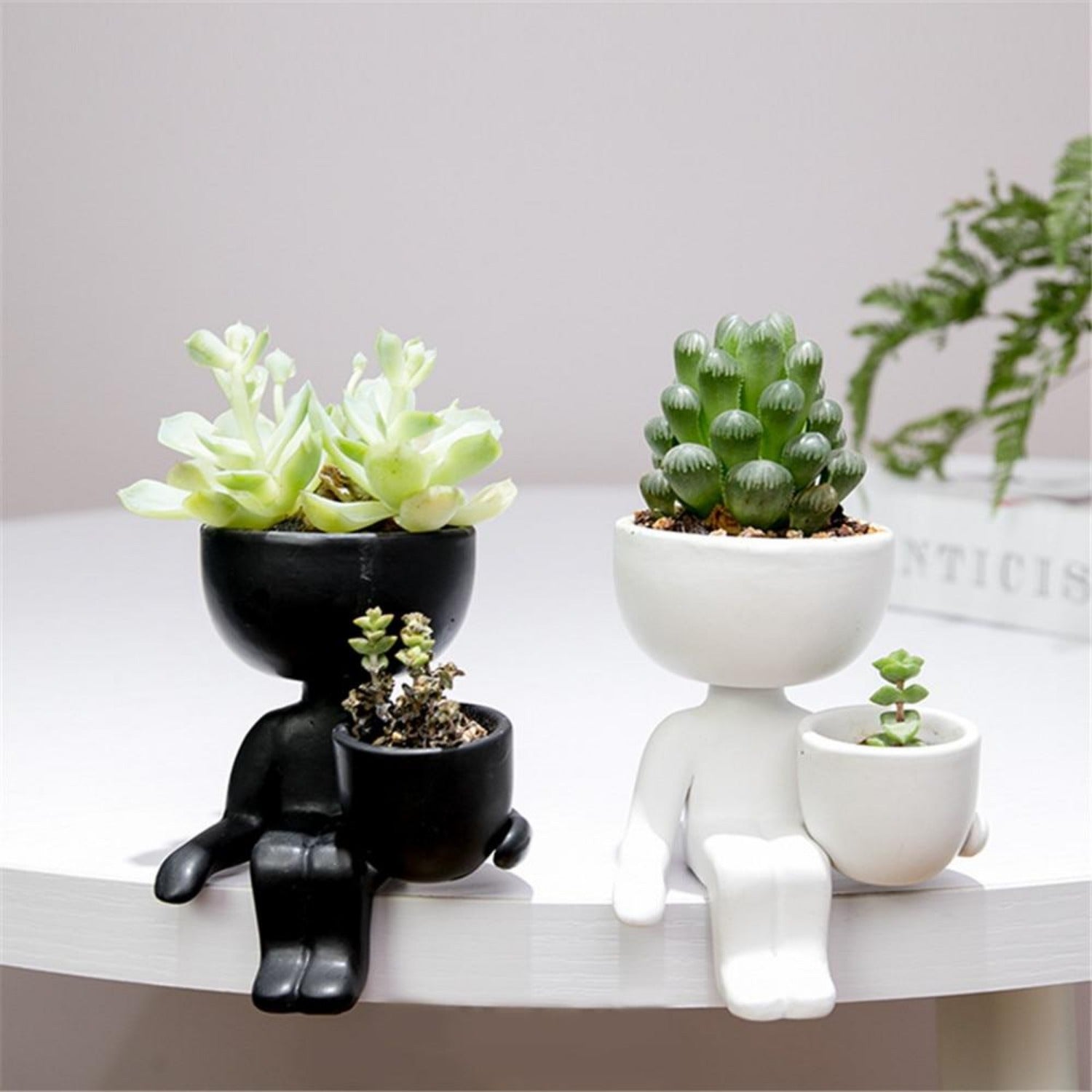 Adorable Mini Succulent Pot