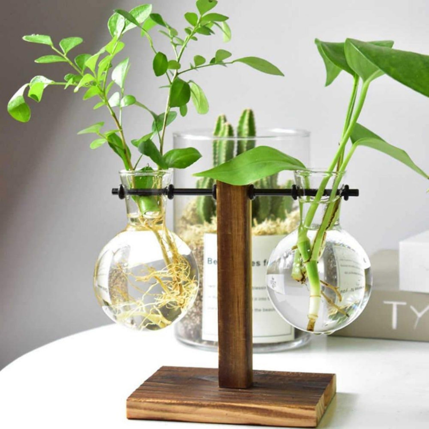 terrarium hydroponic plant vases Terrarium Hydroponic Plant Vases – Raku Decor