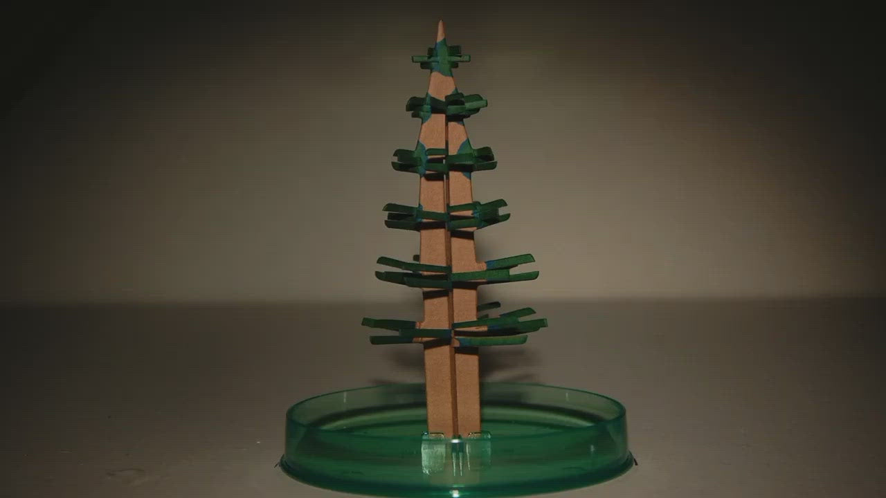Magic Growing Christmas Tree™
